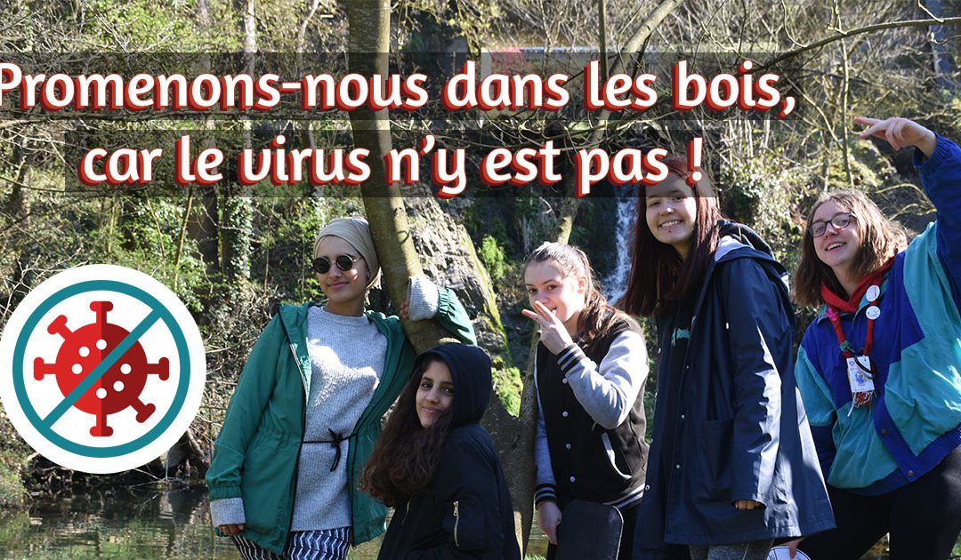 Promenons-nous dans les bois, car le virus n’y est pas…